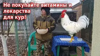 Чем пропаивать кур 🐔 Витамины для кур чеснок+яблочный уксус