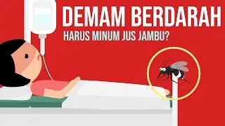 Demam Berdarah-Haruskah Minum Jus Jambu??