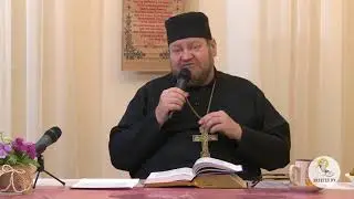 Протоиерей Олег Стеняев -Евангелие от Иоанна глава - 02