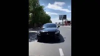 Чёрный гордай с тонированой мордой👿🖤