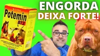 Suplemento POTEMIN B12 - ENGORDA CACHORRO E DEIXA FORTE! Excelente!