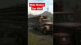 White Western Star 4964