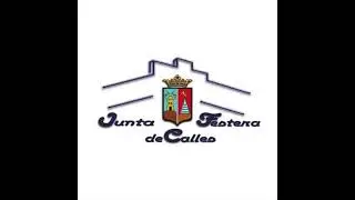 Junta Festera de Calles de Almansa - Guillermo Ruano