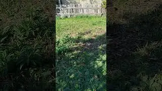 Не дойти до конца !