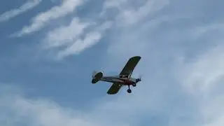 XCub Hangar 9 60cc ARF