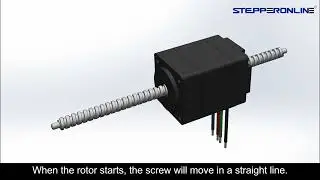 How External, Captive, No-captive Linear Motors Move?