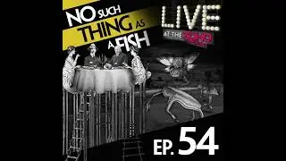 54: No Such Thing As Domesticated Furniture