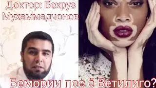Бемории Пес ё Ветилиго чист????