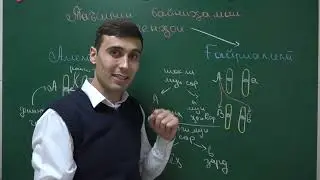 ГЕНЕТИКА КИСМИ 3