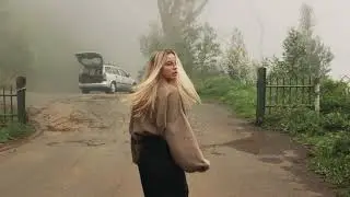 Золотая машина.Golden machines.