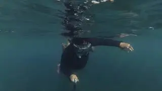 Berburu ikan di laut Jepang