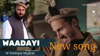 Waadayi || M siddique mughal || New Chilasi Song || Shina song 2024.