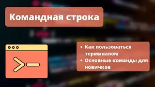 Как пользоваться командной строкой | Основные команды для новичков