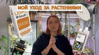 Основные принципы ухода за растениями | Грунт | Досветка | Удобрения | РОЗЫГРЫШ