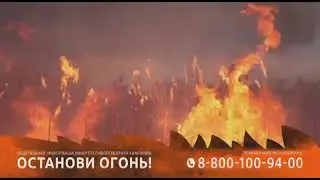 Останови огонь!