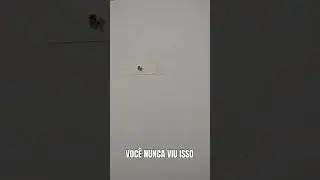 VOCÊ NUNCA VIU ISSO