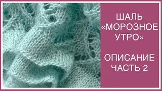 ИЗУМИТЕЛЬНАЯ ШАЛЬ-ПАЛАНТИН 