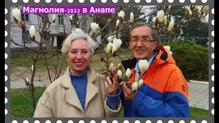Самый лучший день в Анапе - Концерт в гортеатре, зацвели магнолия и кизил, а на море штиль