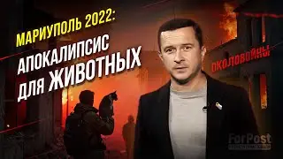 Как спасали брошенных животных при штурме Мариуполя - Околовойны с Всеволодом Радченко