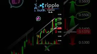 Ripple  #криптоновости #криптоинвестор #риппл #крипта #криптовалюты