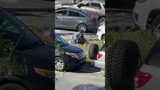 Just A Regular Day In The Hood