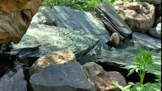 videos/ручей-камни-вода-родник-лето