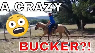 ||Training A Rescue|| The 2nd Ride