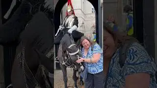 Horse is a Gentle Giant