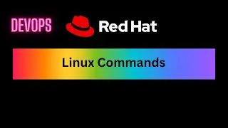 DevOps: Linux Lecture 3 - File System Hierarchy, Absolute and Relative Path, touch, mkdir, cat