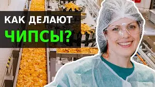 Lux Chips: How is it Made? | Latifundist