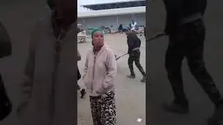 Талантни курилар