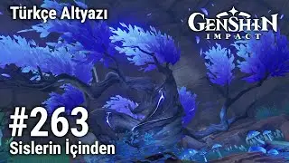 Genshin Impact 