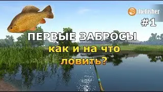 РЫБАЛКА КАК НАЧАТЬ ИГРАТЬ? theFisher Online [СТРИМ]