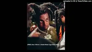 [FREE] Don Toliver x Kodak Black Type Beat 2024 - 