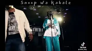 Benja vibe entertainment