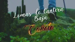 Lomas de Cantera Baja - Nuevo Imperial CAÑETE