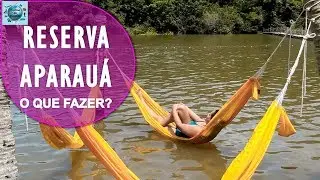 Reserva Aparauá - Onde Fica E O Que fazer? Goiana - Pernambuco - Brasil
