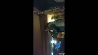 Стрим для просмотра лёжа (строго на левом  боку!!)