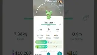 Community day teddiursa