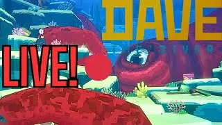 Live Now! Dave The Diver And Chill?