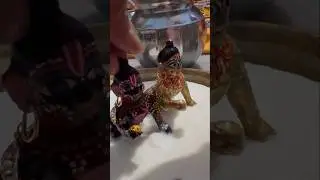 Janamashtmi mini vlog🐥🌍🫂🦚 #dance #shine #vlog #bhog #makhanchor #viralvideo #ytshorts #love