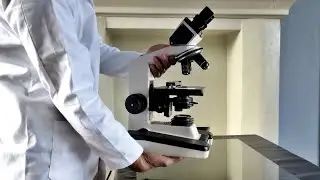How to use a Compound Microscope| Binocular brightfield microscope