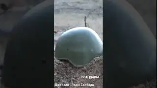 #пошукзагиблих