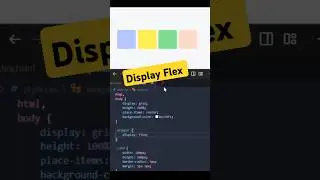How to Use Flexbox in CSS | CSS Flex design | 