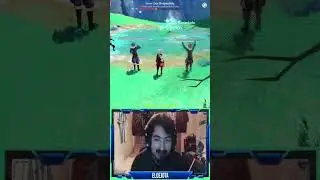 Pelea de NPCs literal... 