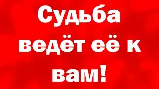 Destiny leads her to you! What will she come with?