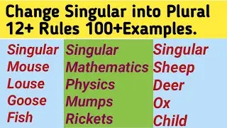Singular And Plural In English Grammar With Examples||Singular And Plural Rules In English Grammar||