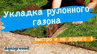 Рулонный газон в Самаре заказать ! Акваграунд