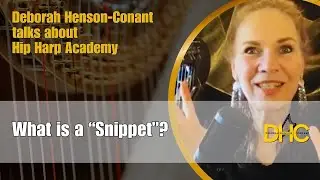 What is a "Snippet"?