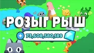 Итоги розыгрыша Pet Simulator X